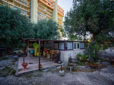 Entriamo dunque nel giardino della De Tullio, dove imperano orti e alberi da frutto